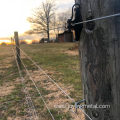 Anti-climbing and Anti-rust Galvanized Barbed Wire